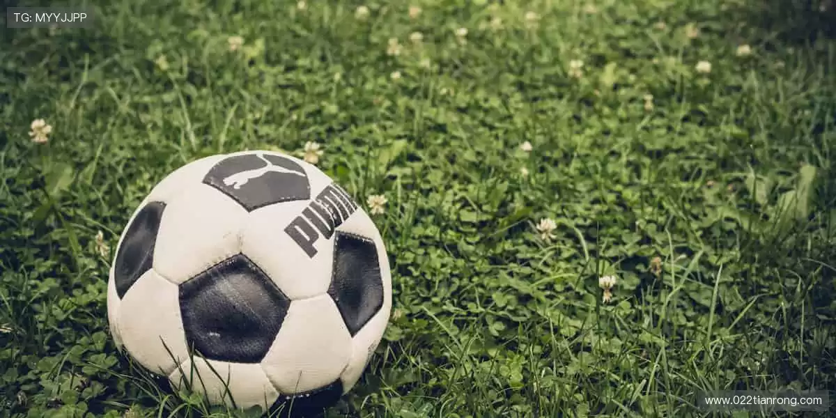 🏃‍♂️挑战极限，突破自我，赛事因你而闪耀！